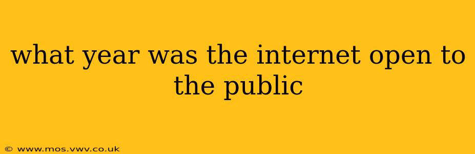 what year was the internet open to the public