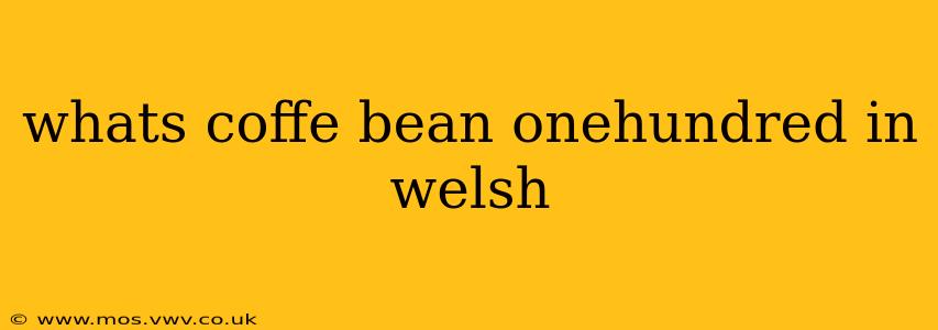 whats coffe bean onehundred in welsh
