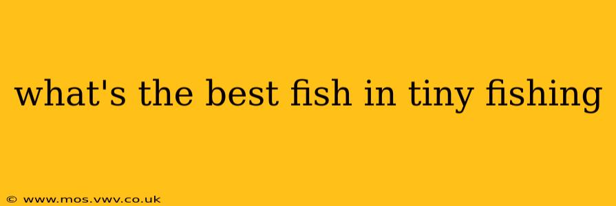 what's the best fish in tiny fishing