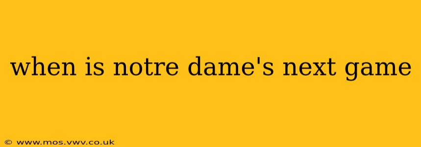 when is notre dame's next game