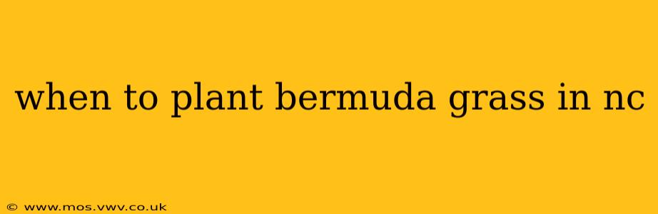 when to plant bermuda grass in nc