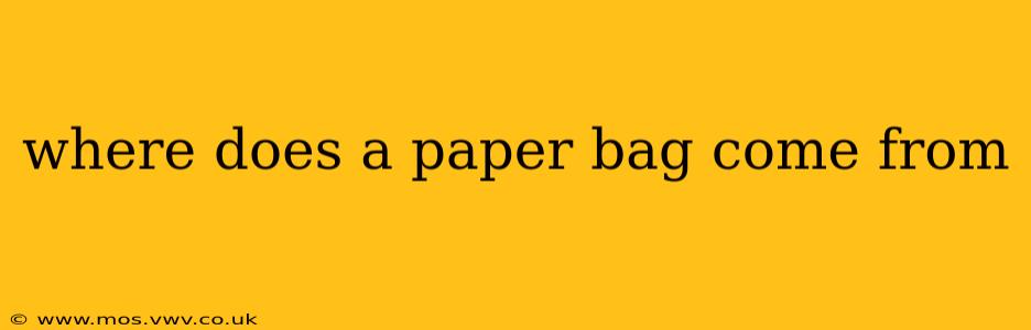 where does a paper bag come from