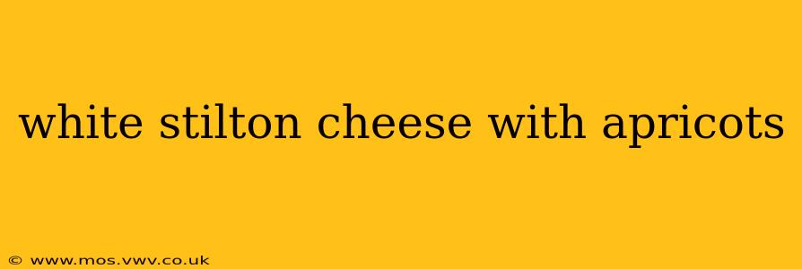 white stilton cheese with apricots