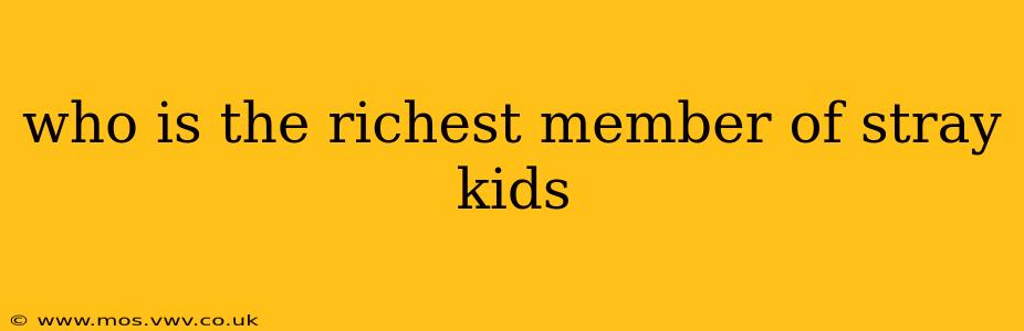 who is the richest member of stray kids