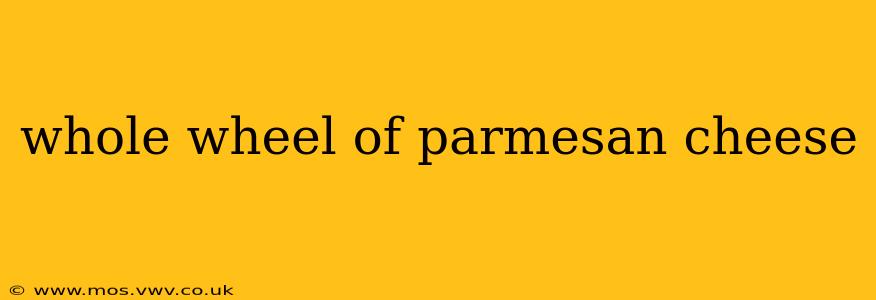 whole wheel of parmesan cheese