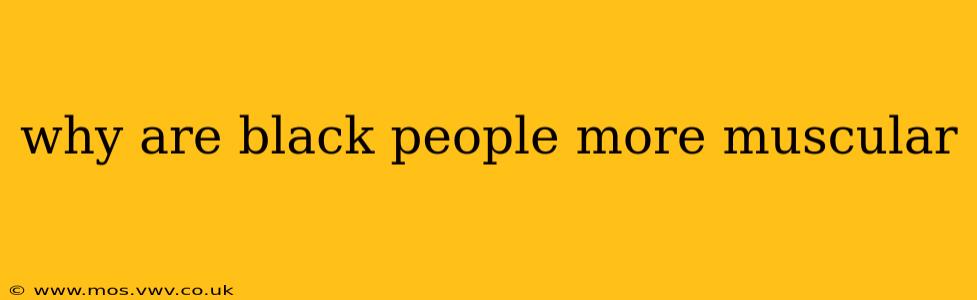 why are black people more muscular