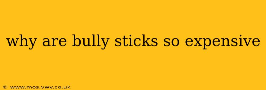 why are bully sticks so expensive