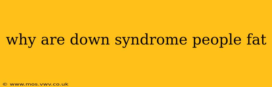 why are down syndrome people fat