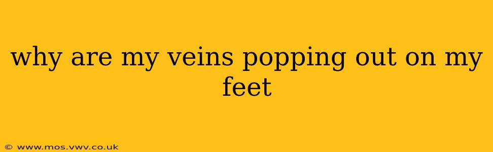 why are my veins popping out on my feet
