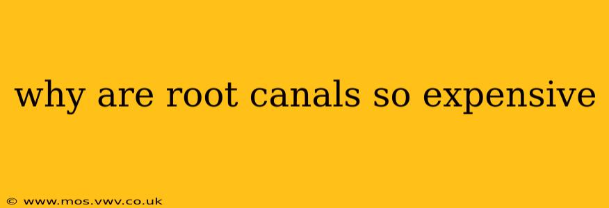 why are root canals so expensive