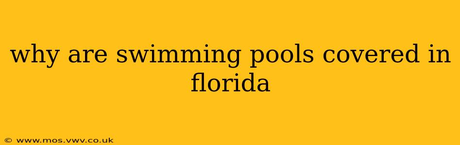 why are swimming pools covered in florida