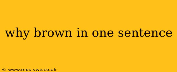 why brown in one sentence why brown in one sentence