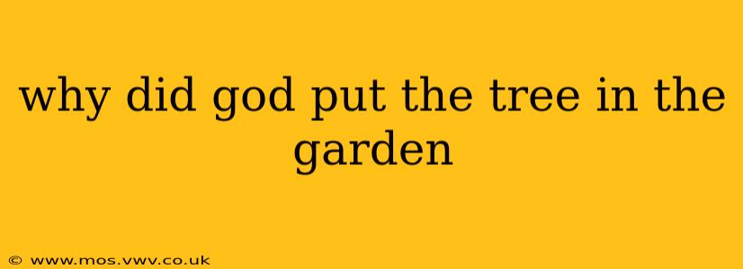 why did god put the tree in the garden