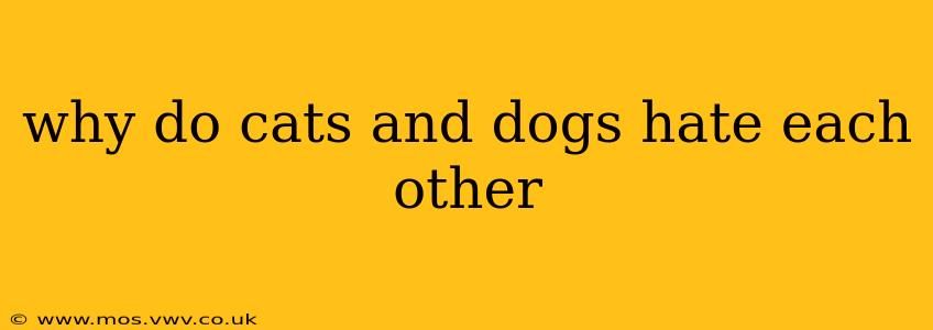 why do cats and dogs hate each other