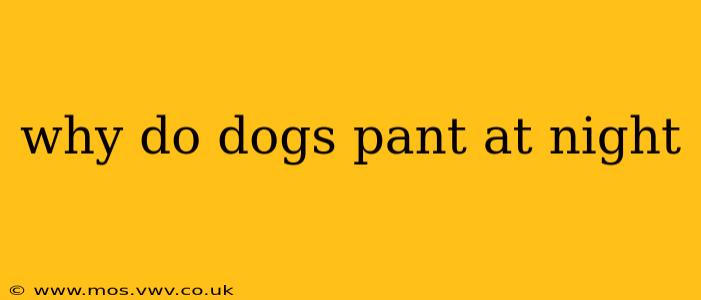 why do dogs pant at night