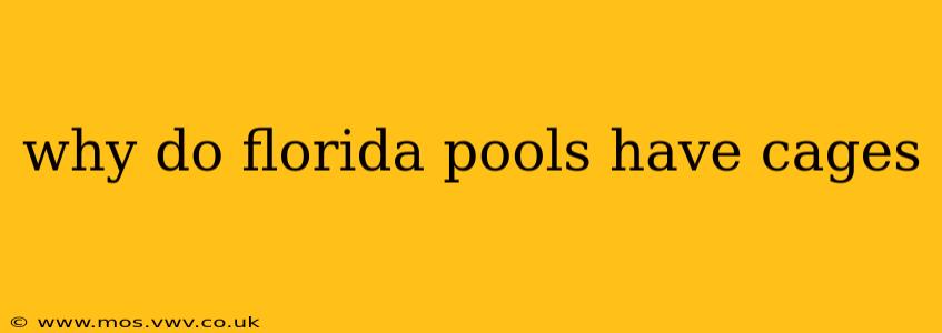 why do florida pools have cages
