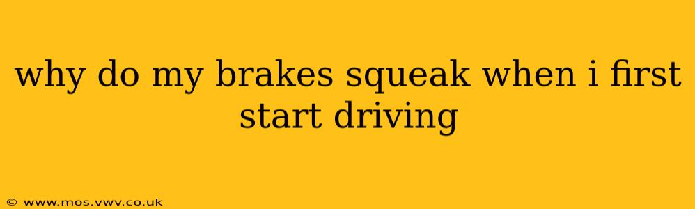 why do my brakes squeak when i first start driving