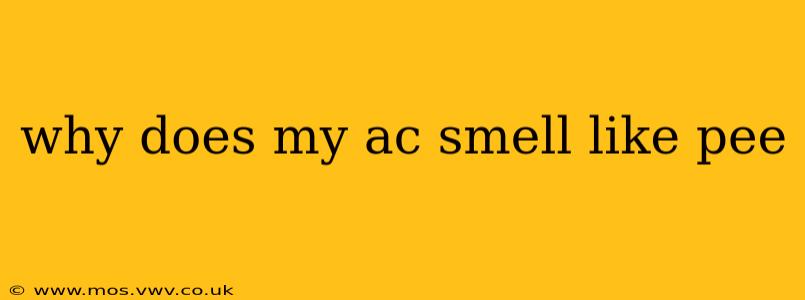 why does my ac smell like pee