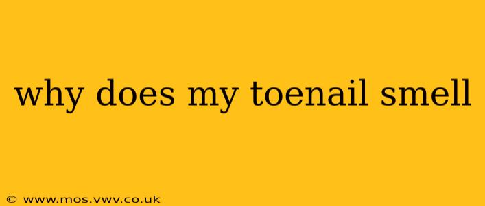 why does my toenail smell