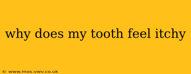 why does my tooth feel itchy