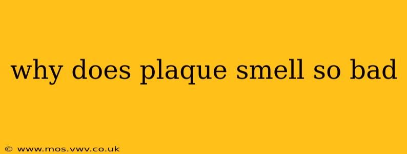 why does plaque smell so bad