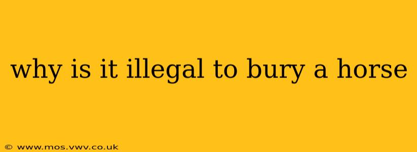 why is it illegal to bury a horse