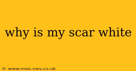 why is my scar white