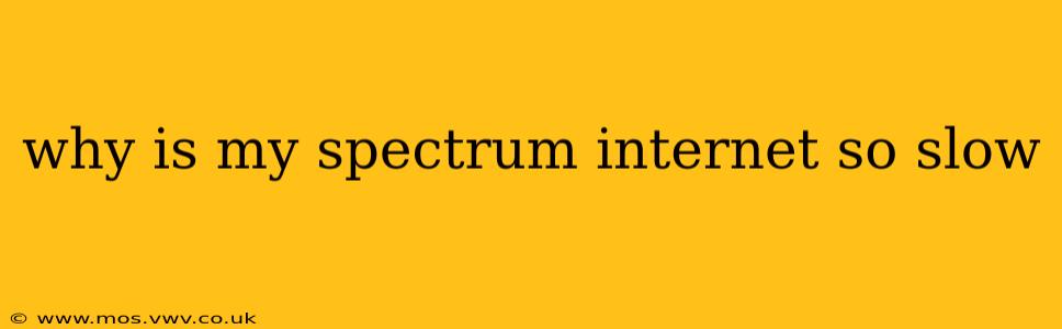 why is my spectrum internet so slow