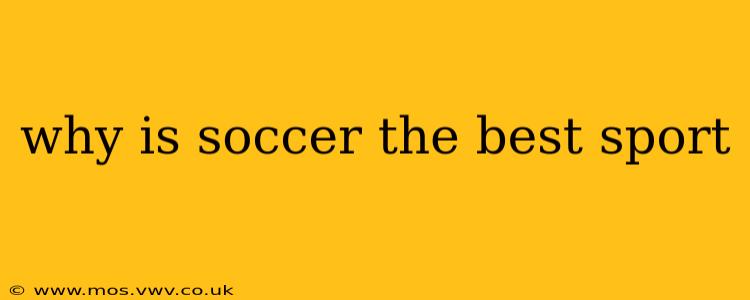 why is soccer the best sport