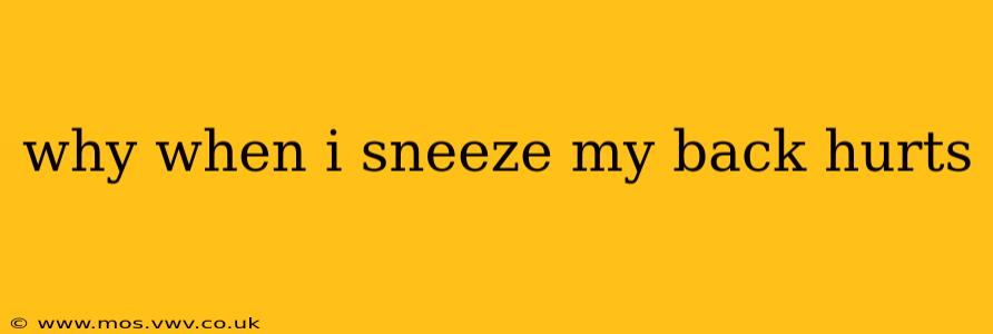 why when i sneeze my back hurts