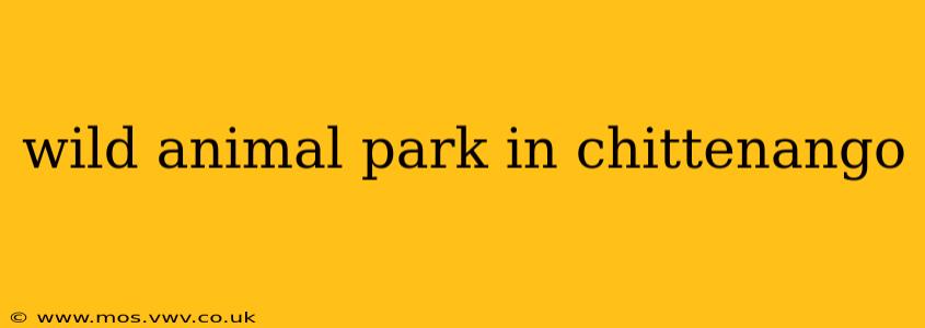 wild animal park in chittenango