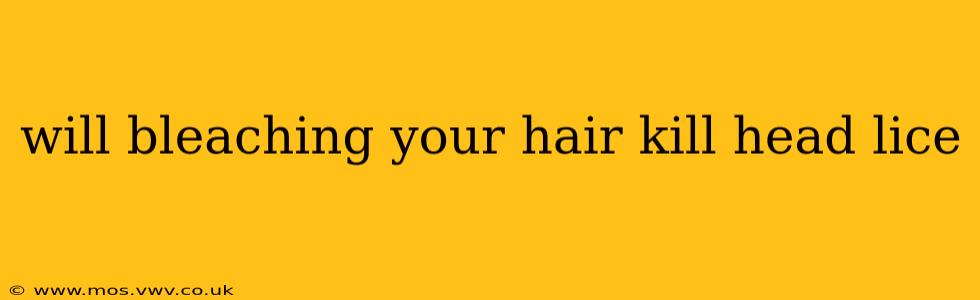 will bleaching your hair kill head lice