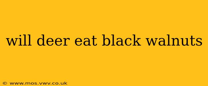 will deer eat black walnuts