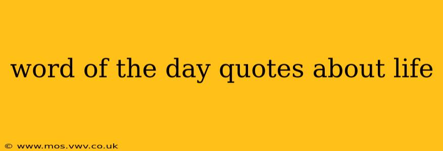 word of the day quotes about life